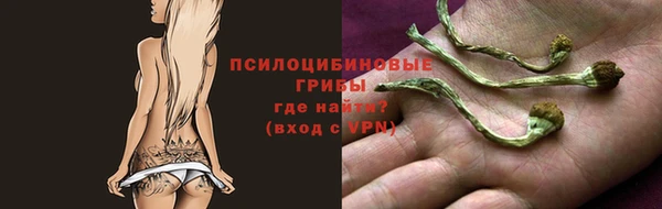 spice Абинск