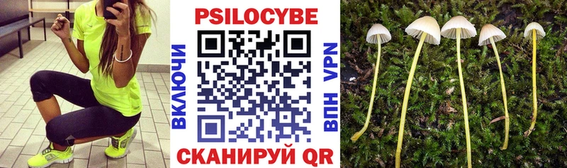 Псилоцибиновые грибы MAGIC MUSHROOMS наркотики Прохладный