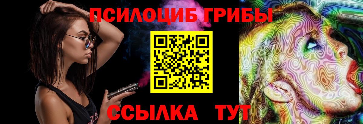 Галлюциногенные грибы Psilocybine cubensis  купить   Прохладный  Вход с VPN 