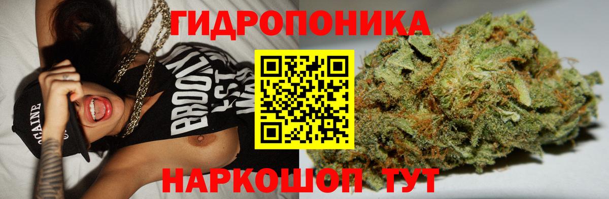 Бошки Шишки план  Канабис THC 21%  Вход с VPN  Каннабис MAZAR  Прохладный  Каннабис семена 